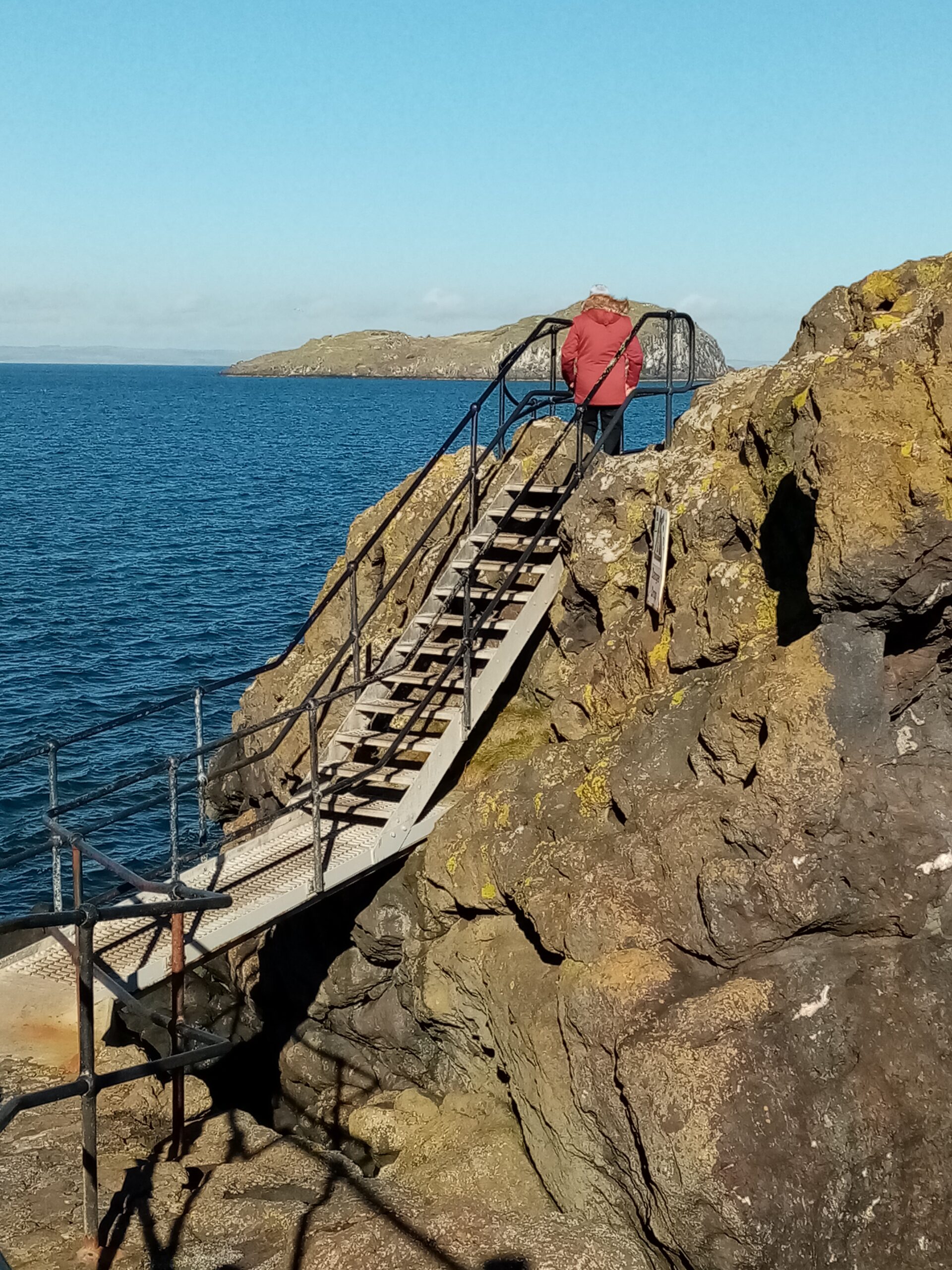 North Berwick Seabird Sanctuary