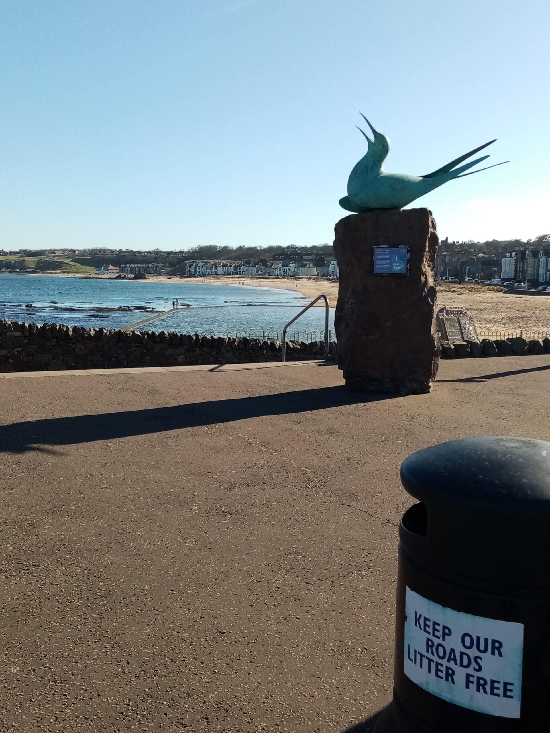 Scottish Seabird Centre